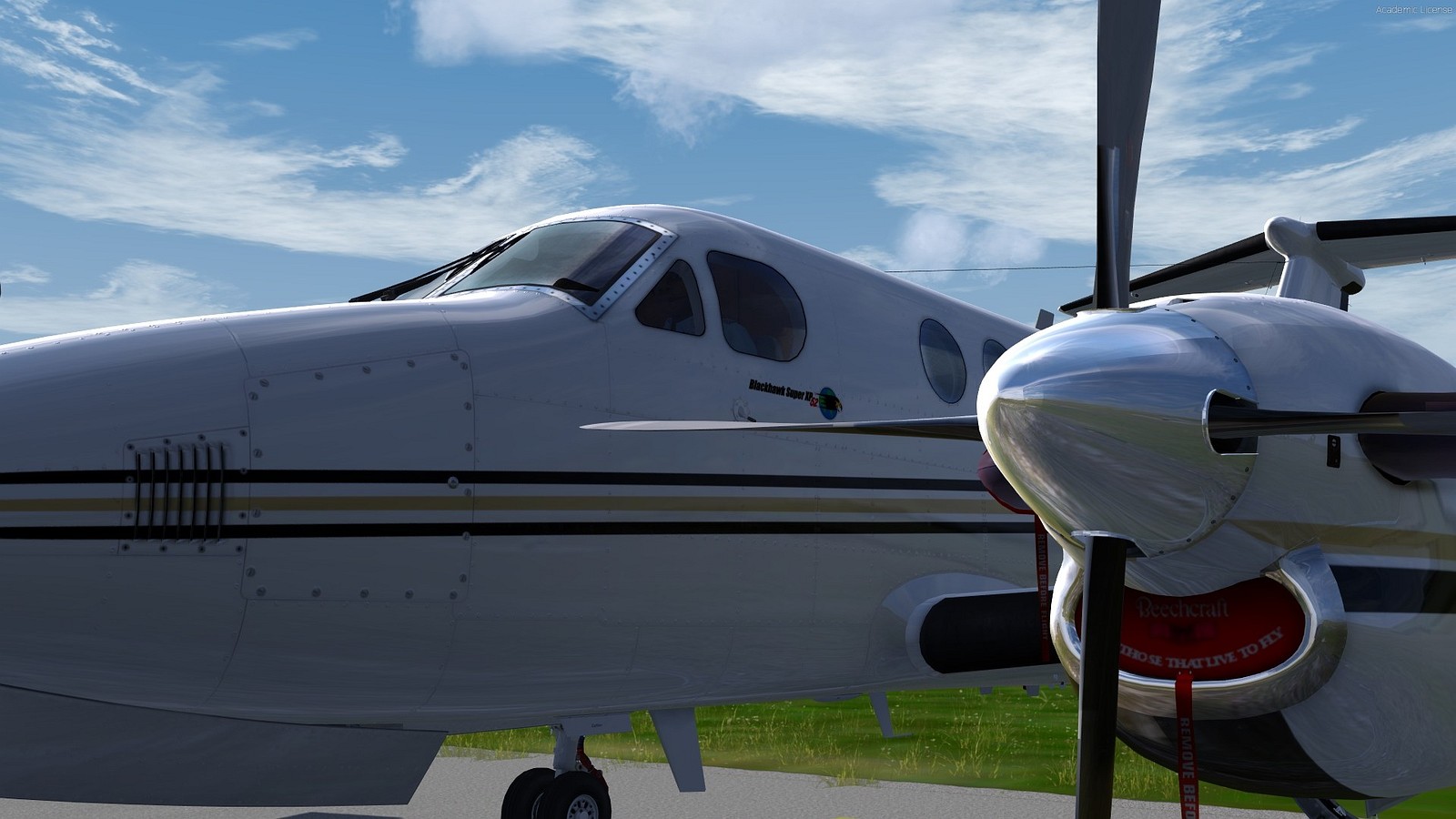 Fsx P3d Alabeo C172rg Cut Class Iii
