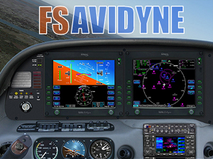 fsavidyne_box.jpg